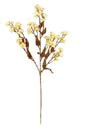 Baby's Breath